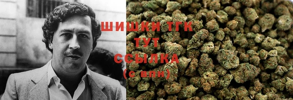 крисы Арсеньев