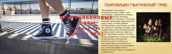 крисы Арсеньев