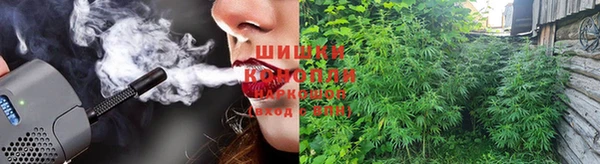 крисы Арсеньев